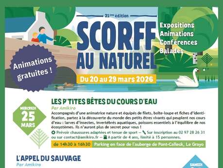 Les p'tites bêtes du cours d'eau