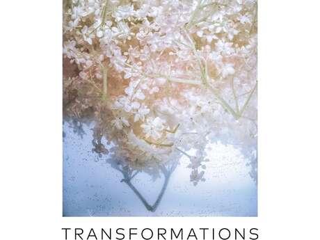 Exposition "Transformations"