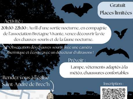 Partez à la découverte des chauve-souris et du monde de la nuit !