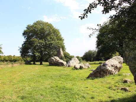 Visite guidée aux mégalithes de Lampouy