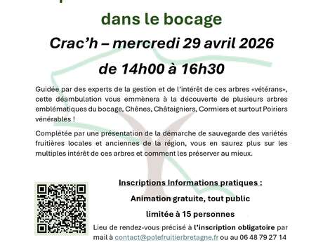 Balade conférence : A la découverte des arbres vétérans du bocage