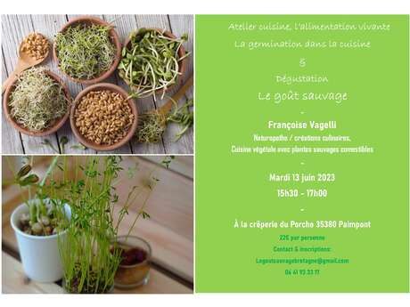 Atelier cuisine, l'alimentation vivante - La germination dans la cuisine