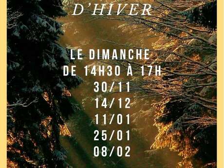 Les ateliers de saison - Qi gong d'hiver