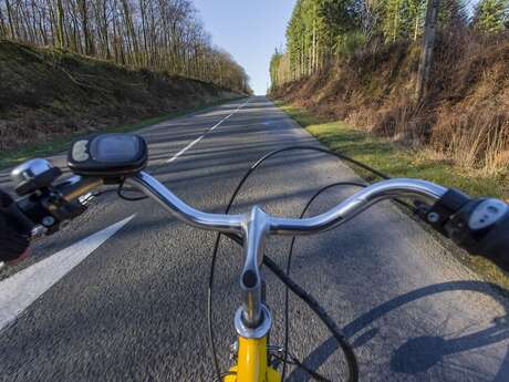 Balade contée à vélo en Brocéliande