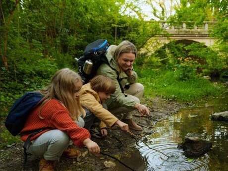 Balade nature : la biodiversité du plan d’eau