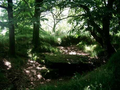 Dolmen de Kergonfalz