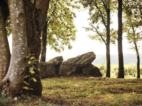 Dolmen de Kergonfalz