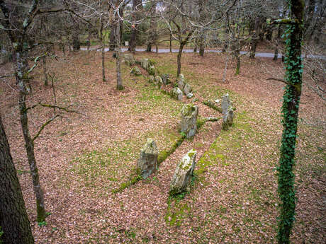 Allée couverte de Luffang