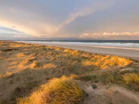 Visite nature : Balade dans les dunes