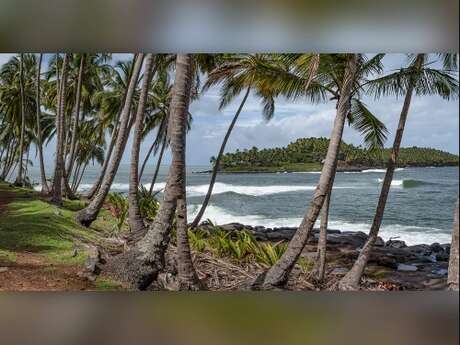 Guyane, une pépite en Amazonie