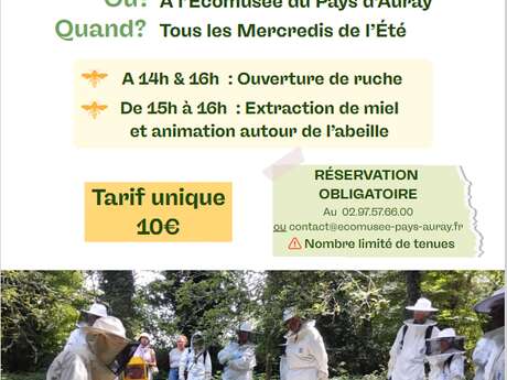 Animation ouverture de ruche et extraction de miel