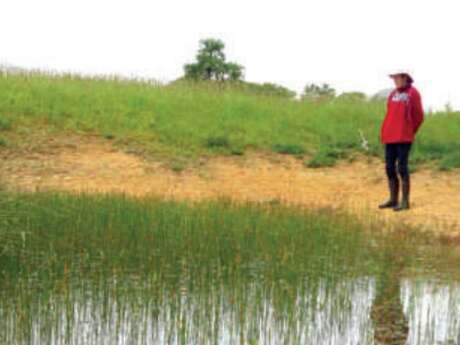 Fêtons la biodiversité en Brocéliande - Découverte des mares