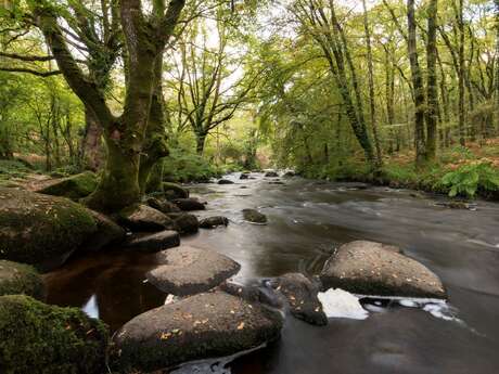 Circuit des chaos de l'Ellé