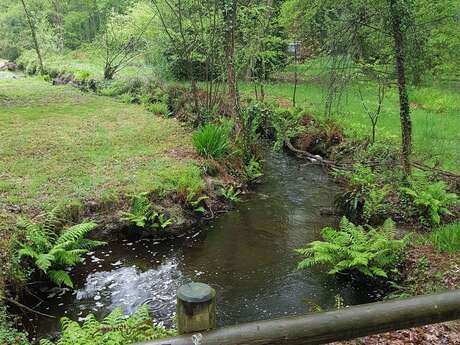 Circuit en Pays Mitau