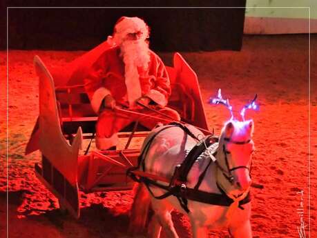 Conte de Noël équestre - Le Père Noël et le ballet des animaux