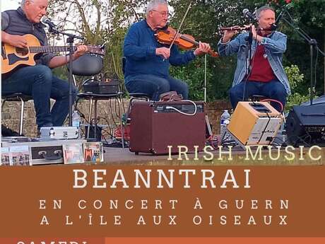 Concert irlandais