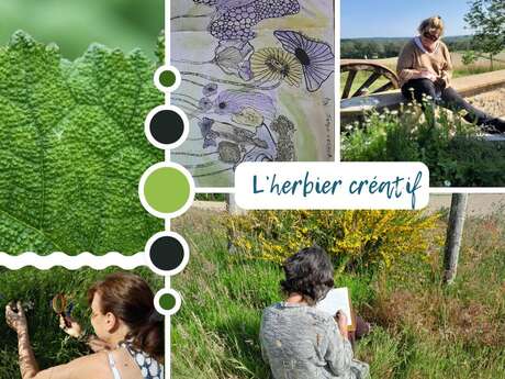 HERBIER CREATIF