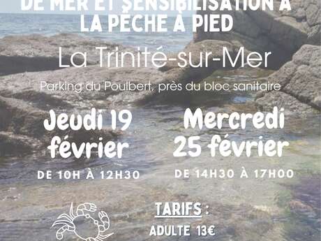 Sortie nature : Découverte de l'estran : les petits animaux du bord de mer et sensibilisation à la pêche à pied