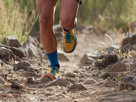 Run'in Pleum