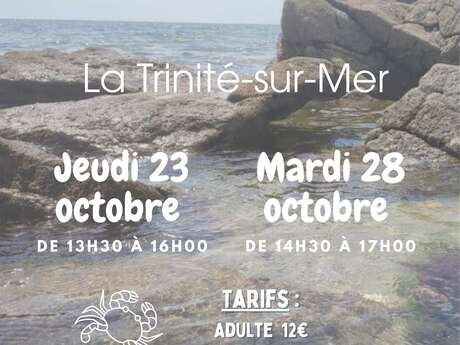 Découverte de l'estran : les petits animaux du bord de mer et sensibilisation à la pêche à pied