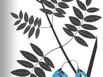 Les herbiers d'Emilie Vast par les éditions MeMo