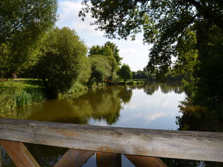 Circuit des étangs de Coueslé