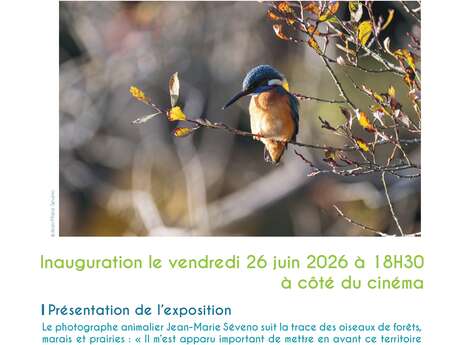 Exposition photo "À vol d'oiseaux dans le Morbihan"