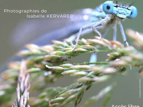 Expo Photo "Visibles et invisibles"