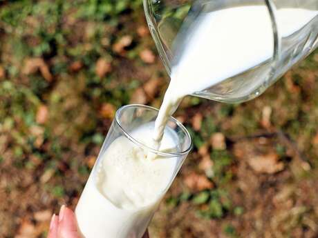 Fête du lait à la ferme Le Panier du Glouby