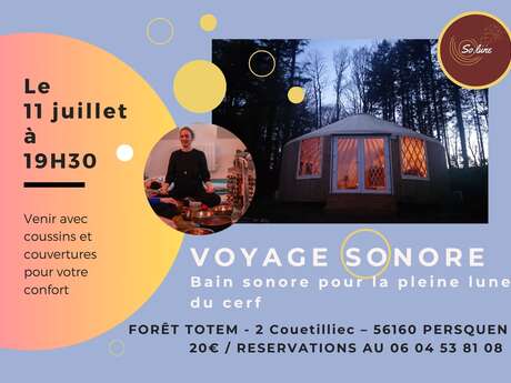 Voyage sonore