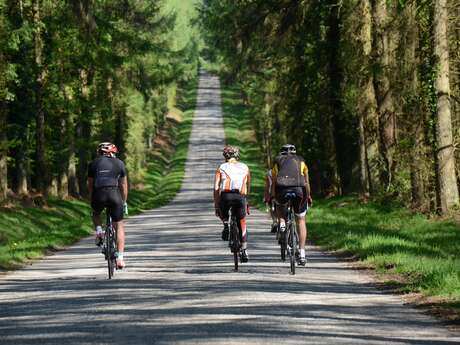 Circuits Jean Robic - N°7 Grand Circuit Jean Robic