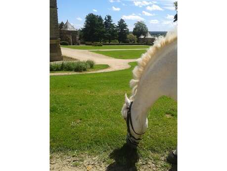 Haras de la Bourdonnaye