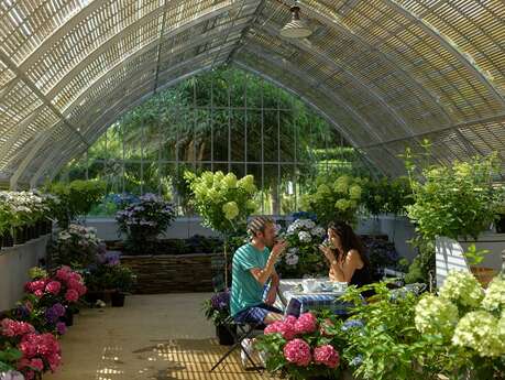 Pépinière Les Hortensias du Haut Bois