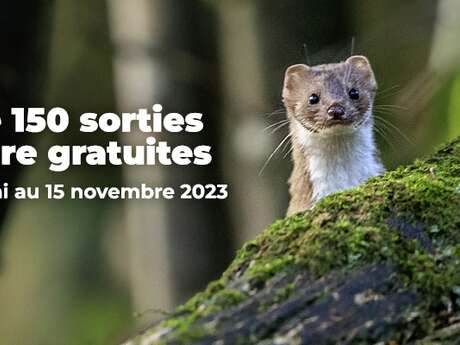 "Morbihan Grandeur Nature": Autour du pressage de pommes