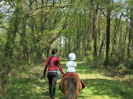 Balade en main à poney ou à cheval