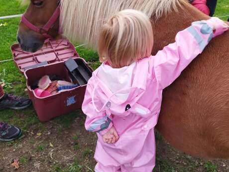 Balade en main à poney ou à cheval