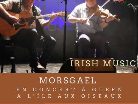 Concert irlandais