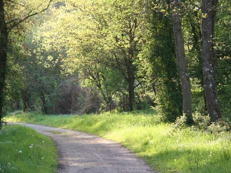 Voie verte Ploërmel - Guer - Messac