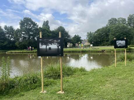 Exposition photo "Brocéliande autrement, brocéliande mystérieuse"