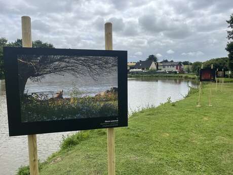 Inauguration - Exposition photo "Brocéliande autrement, brocéliande mystérieuse"