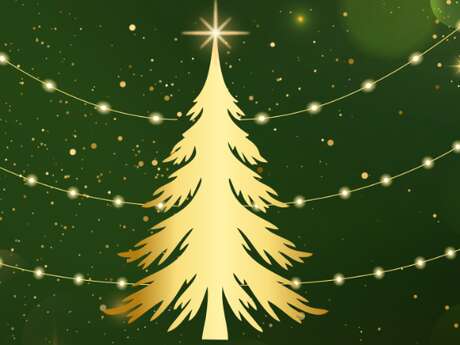 Lancement des illuminations de Noël