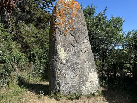 Menhir de Goulvars