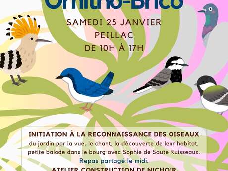 Atelier Ornitho-Brico