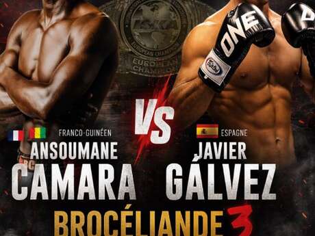 Brocéliande fight : Championnat d'Europe ISKA / Brocéliande fight 3 !
