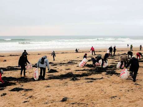 Nettoyage de Plage à Penthièvre