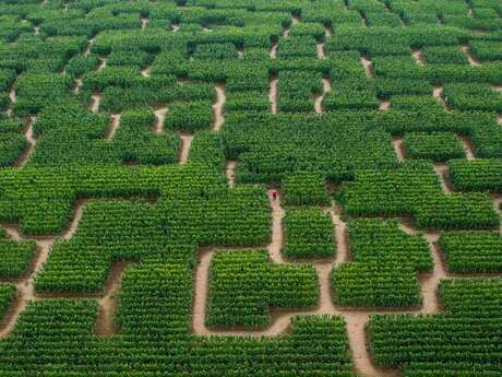 Pop Corn Labyrinthe Sarzeau