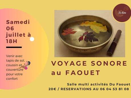 Voyage sonore