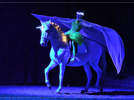 Spectacle équestre "Le Nouveau Royaume"