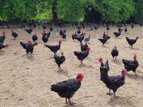 Les Volailles du Pré BIOttés