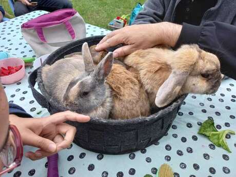 Visite guidée de la ferme spéciale Pâques
